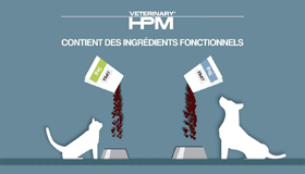 HOGE SPIJSVERTERINGDE TOLERANTIE